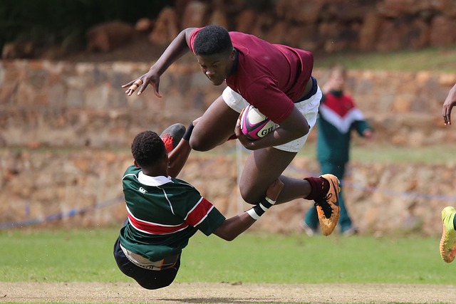 对于南方的 对于南方的