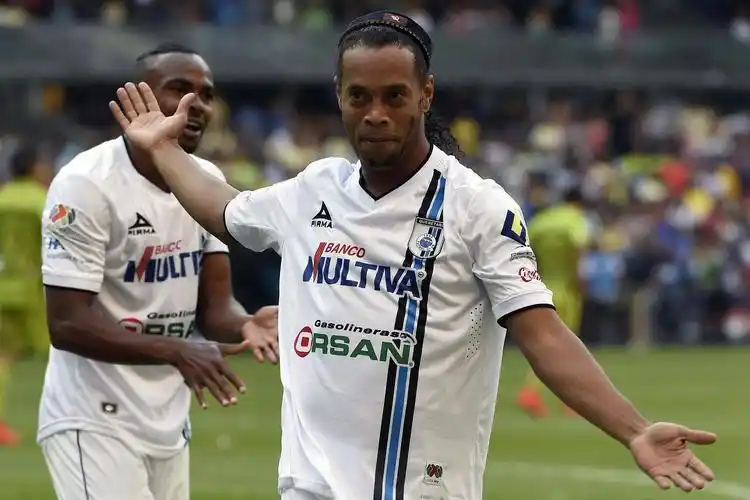 拥有庞大的 拥有庞大的