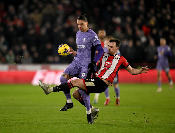 自由球員 自由球員