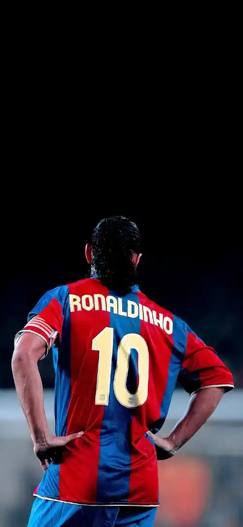 对于不莱梅 对于不莱梅